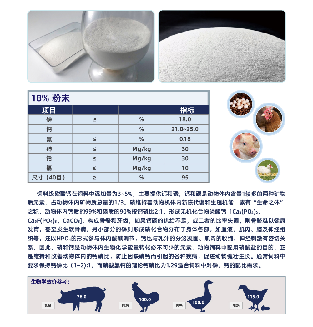 饲料级磷酸氢钙_画板 1 副本 2.jpg